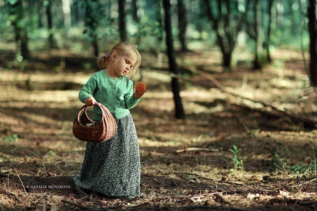 Девочка в лесу собирала грибы. Девочка в лесу. Дети собирают грибы. Девочка корзинка лес. Детская фотосессия сбор грибов.