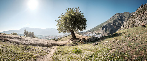 africa panorama tree fuji outdoor hiking surreal hills morocco fujifilm chefchaouen hdr xt1