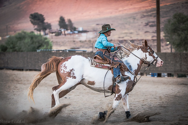 Desperados - Cowboy mounted shooters (38)