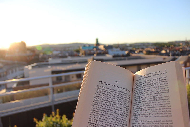 Rooftop reading, Et dryss kanel