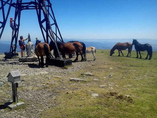 Cumbre de Gorbeia (1.482 m.) en pleno verano