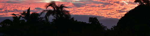 nikon d7200 dusk twilight trees sky clouds sunset red redsunset orange orangesunset outdoor palmtrees tamron tamronsp2470mmf28divcusd 2470mm 2016 july topf25 1000v40f