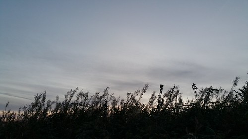 Maker Heights | by Mr Feminine