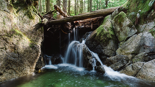 forest nature waterfall trees water rocks deceptionfalls pacificnorthwest canoneos5dmarkiii canonef2470mmf28lusm washington johnwestrock wallpaper background