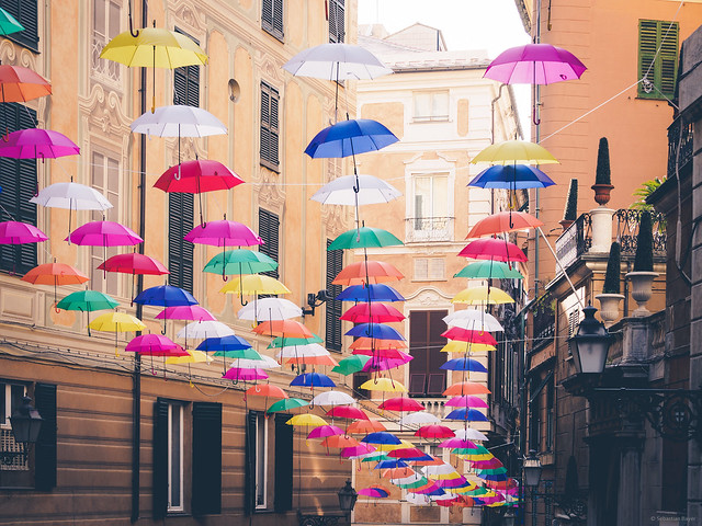 Umbrella Streets - Genova, Italy