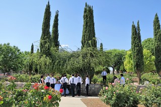 El Paso Municipal Rose Garden In May 15 Mzuriana Flickr