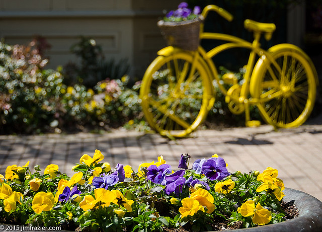 The Geneva Yellow Bike