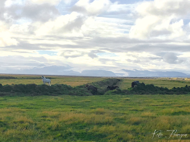 Southern Region, Iceland