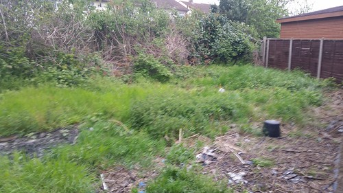Garden makeover | by gem_106
