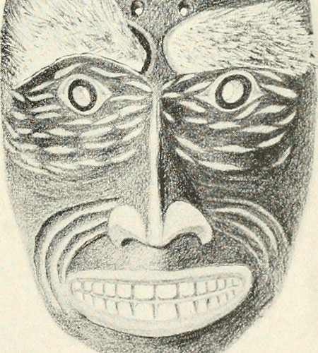 Image from page 358 of "Annual report of the Board of Rege… | Flickr