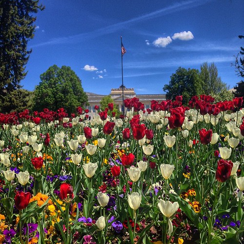 Happy #MayDay! #UofU #universityofutah #PresidentsCircle #springisintheair #Utah #tulips