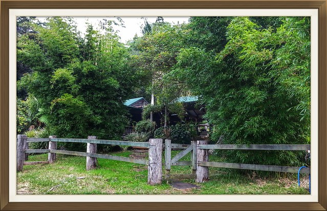 Secluded log cabin on Mount Tamborine