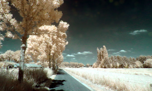 A summer's roadtrip (infrared)