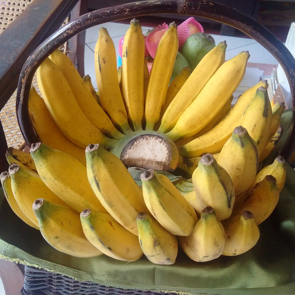 Raja pisang Kenali Jenis