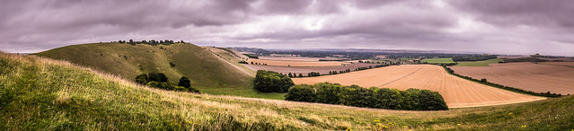 Pewsey Downs - Wiltshire, England - Fine art photography