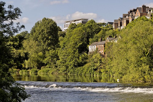 trees houses college water river stream outdoor devon exeter valley weir