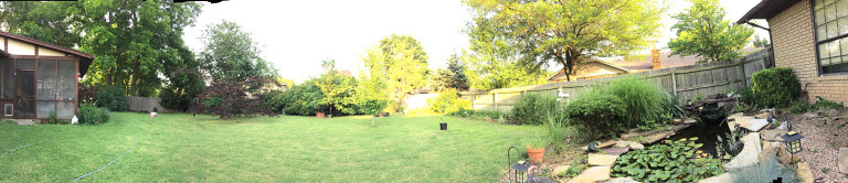 Backyard