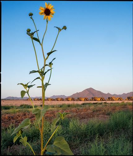santanvalley usa arizona sunflower construction goldminemountain