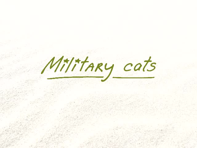 Types of military forces in cats