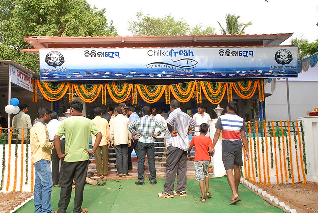FISHFED Selling Outlet at Bhubaneswar