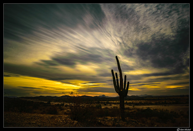 Arizona Sunset