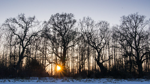 Sunset by martha hoo, sunset winter snow natur nature landscape landschaft sonnenuntergang