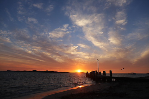 Sunset over Penguin Island by Jackie.. ......Griffins Photos, In Western Australia, a beautiful sunset, looking over the indian ocean sea sunset island jetty deac