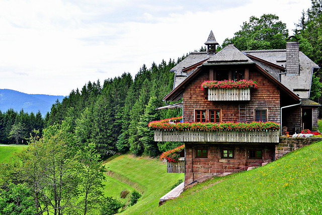 Forêt Noire 2 (Allemagne)