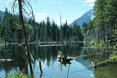 Nahatlatch Provincial Park