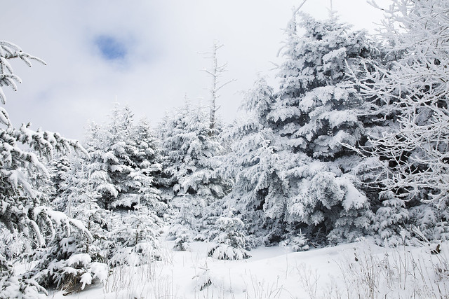 Tennessee Winter Wonderland (Explored)