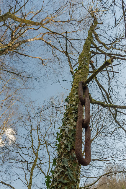 Chain in a tree