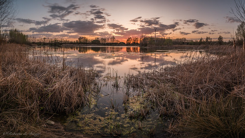 Atardecer en la charca. by Roberto_48, charca villalba lagunas aranda duero atardecer