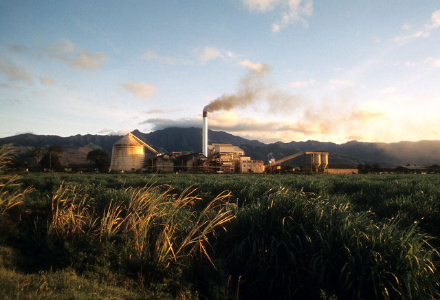 Waialua Sugar Mill, Circa 1972
