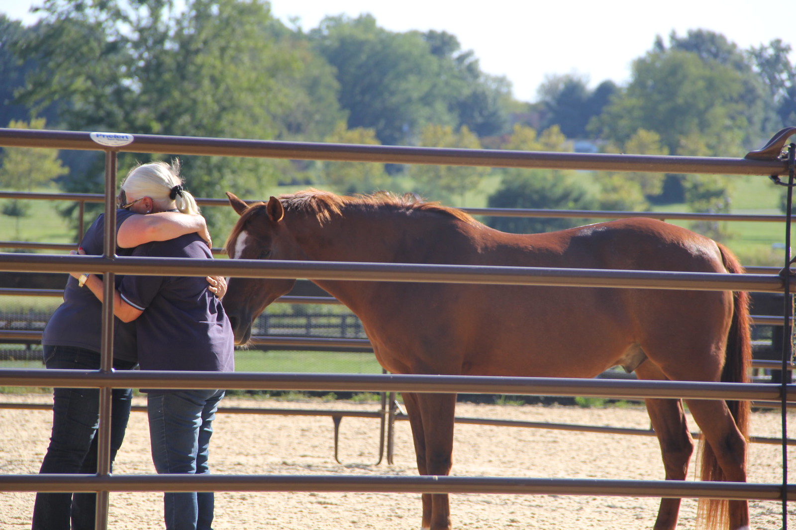 2015_T4T_Salamander Equine Therapy 55