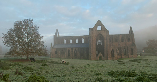 tintern monmouthshire wales abbey monastery ruin medieval historic heritage wye valley fog mist morning sunrise autumn river travel tourism country countryside