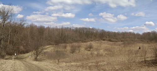 seidmanpark april 2018 usa michigan panorama woods trail path vista outdoors android landscape clouds planetearth