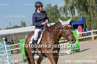 219L_0046