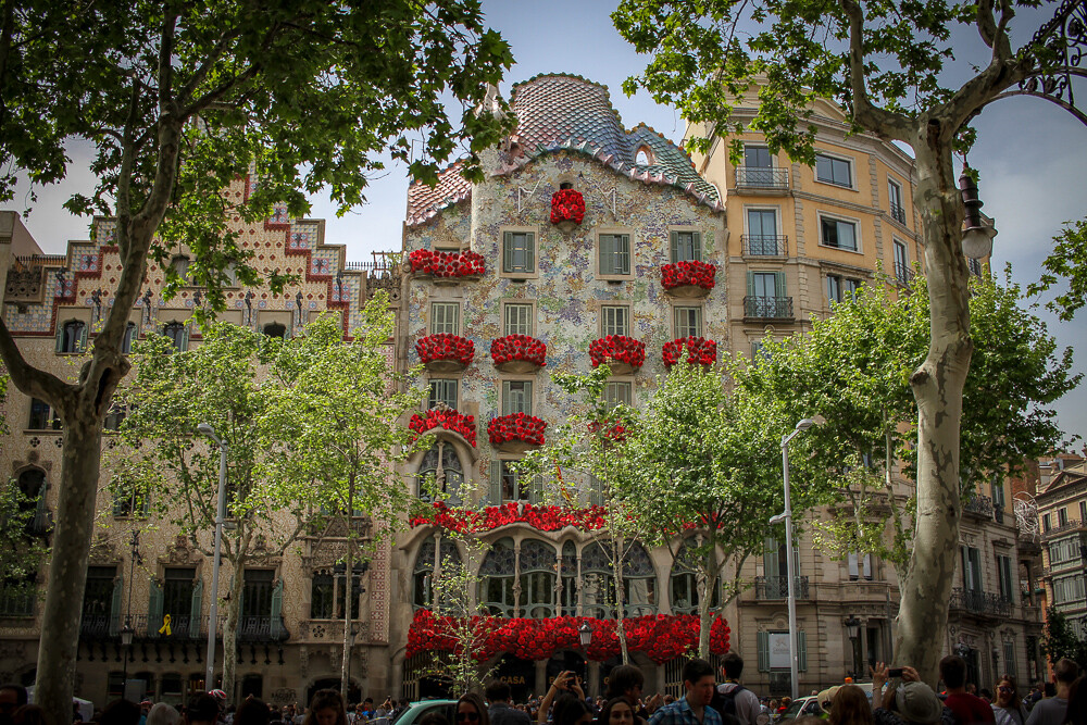 Sant Jordi's Day Barcelona-Home