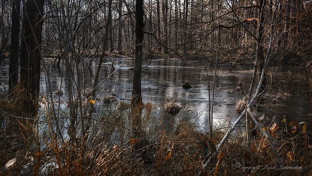 Flooded and frozen [explored]