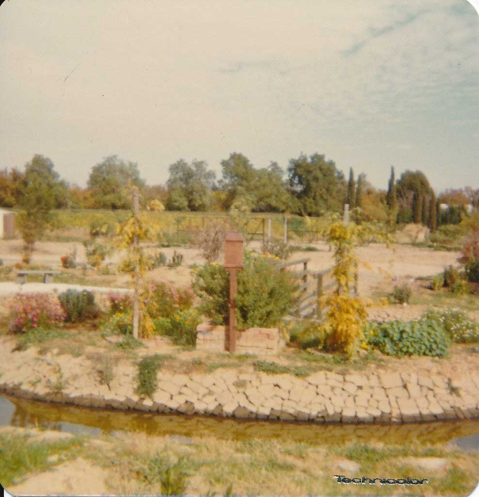 Sacramento Krishna Pond2