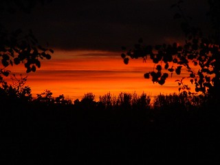 Lucious sunset 2
