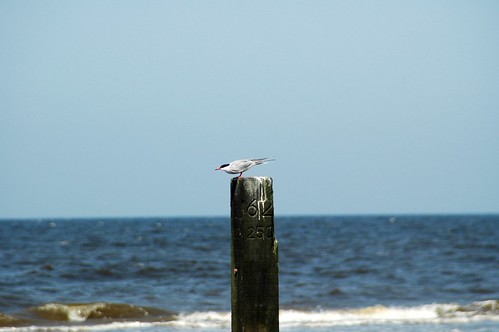 Strand Beach