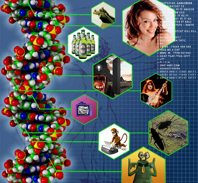 Source Code Dna DNA-source-code | Scott Ingram | Flickr