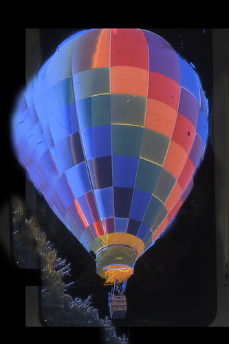 Balloon Kodalithe near the trees | by Dog Daddy