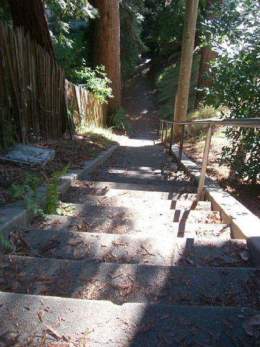 El Mirador