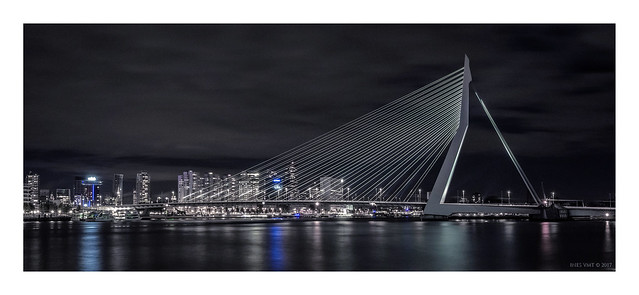 Rotterdam - Erasmusbrug III