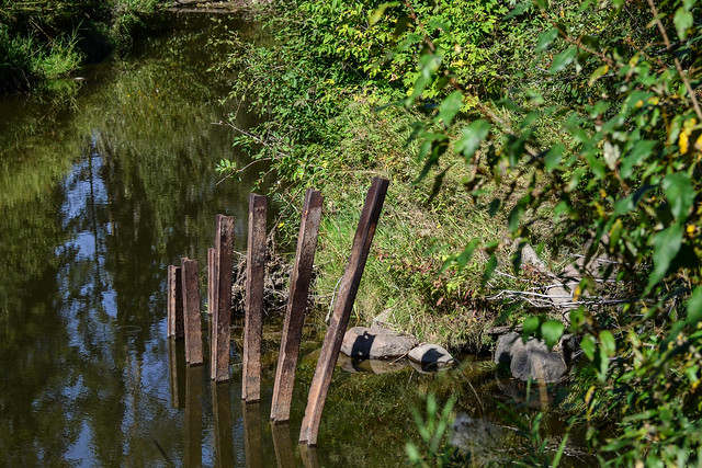 Metal in the Creek