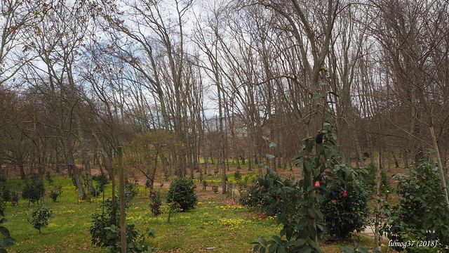 Jardines del Pazo de Rubianes (2).