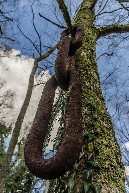 Chain in a tree