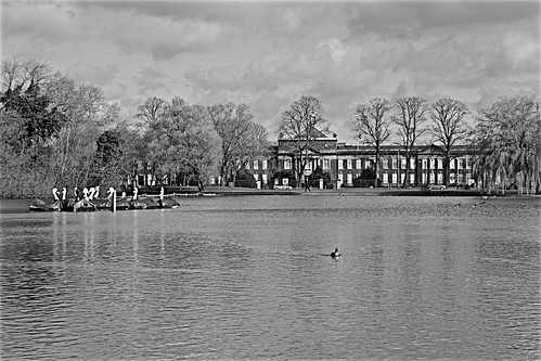 eastpark eastyorkshire kingstonuponhull kingswood hullkingstonrovers lakes lake geese trees water slide bughotel unlimitedphotos ngc flickrunofficial flickruk flickr flickrcentral blackandwhite blackandwhitephotos blackandwhitephoto blackandwhitephotography canoneos600d geotagged brianarchie65 colettatyson logs